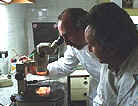 Investigadores analizando algo...